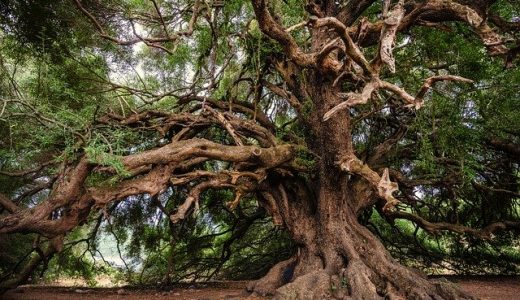 超カンタン！(^o^)気の重心を下げ、精神力を強くする方法