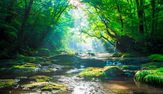 生きづらさの原因。それは●●ではなく、…なんと！